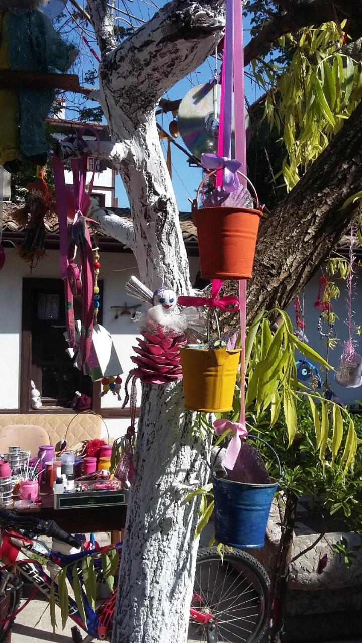 Nimet Hanim Konagi Safranbolu Exterior foto