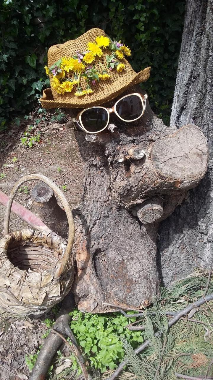 Nimet Hanim Konagi Safranbolu Exterior foto